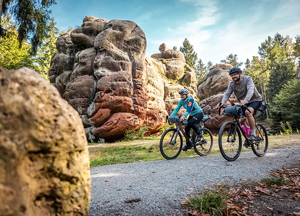 Banner Rock Head Kelchsteine Sachsen